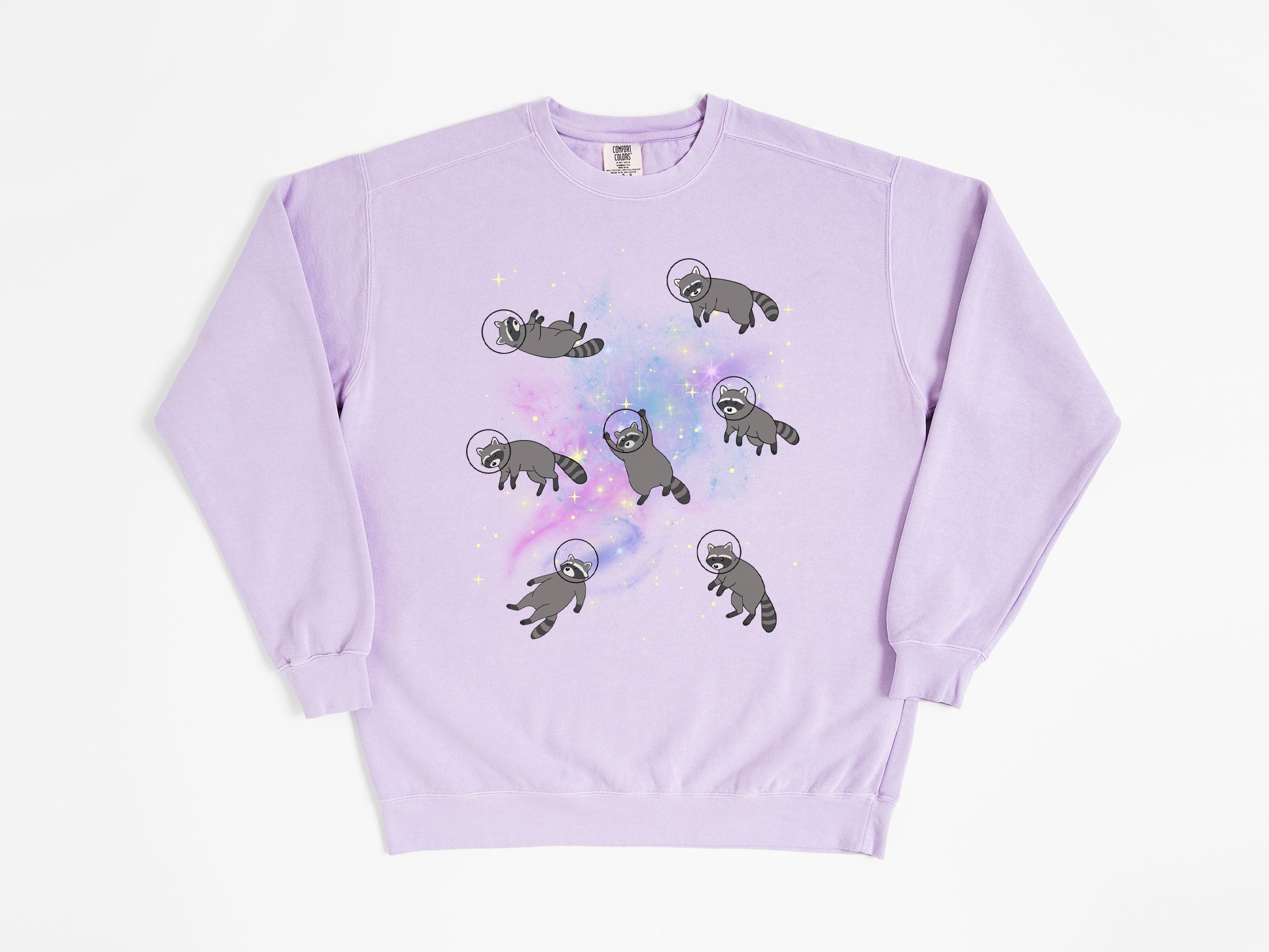 Space Raccoons Sweatshirt