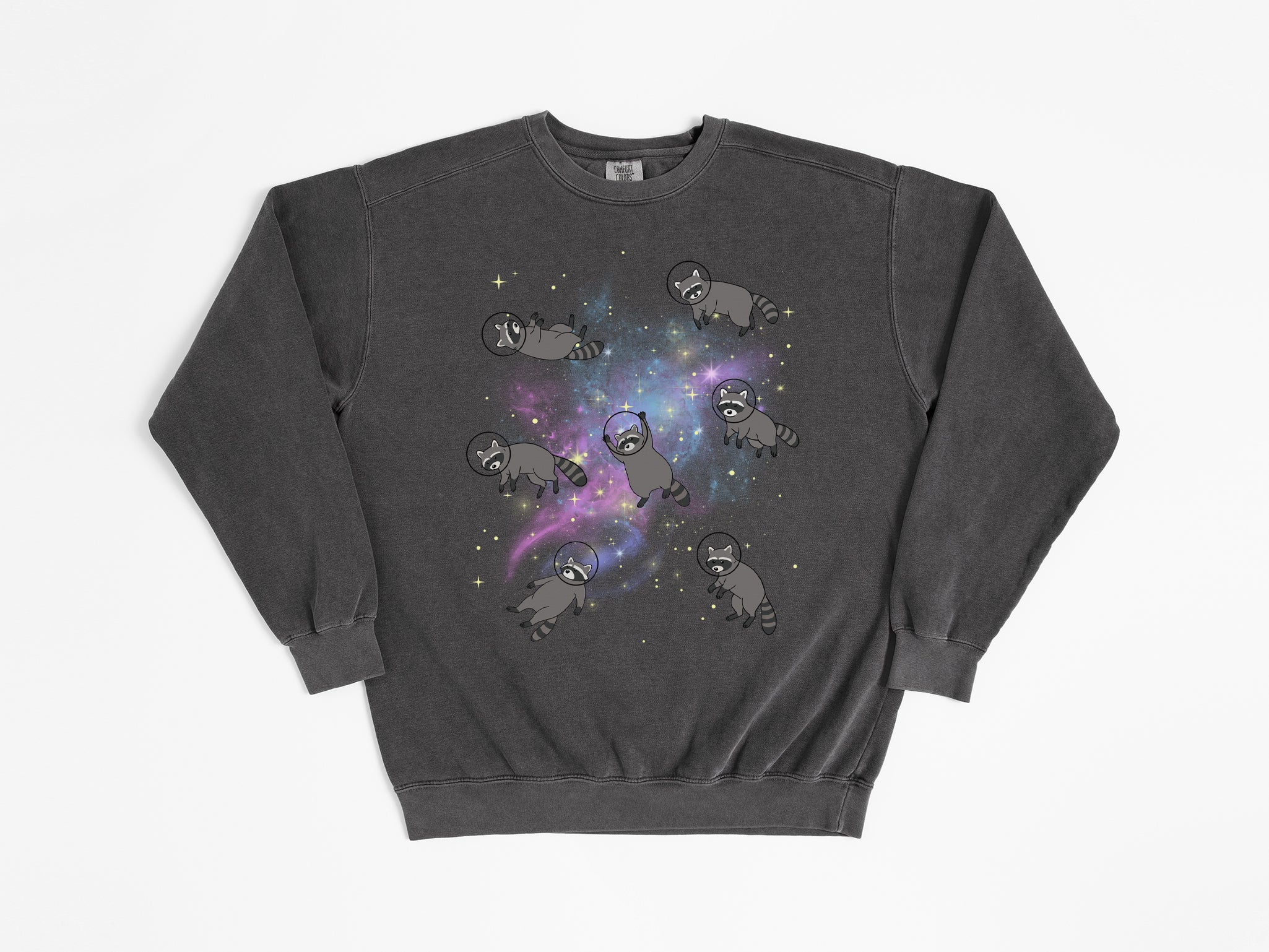 Space Raccoons Sweatshirt